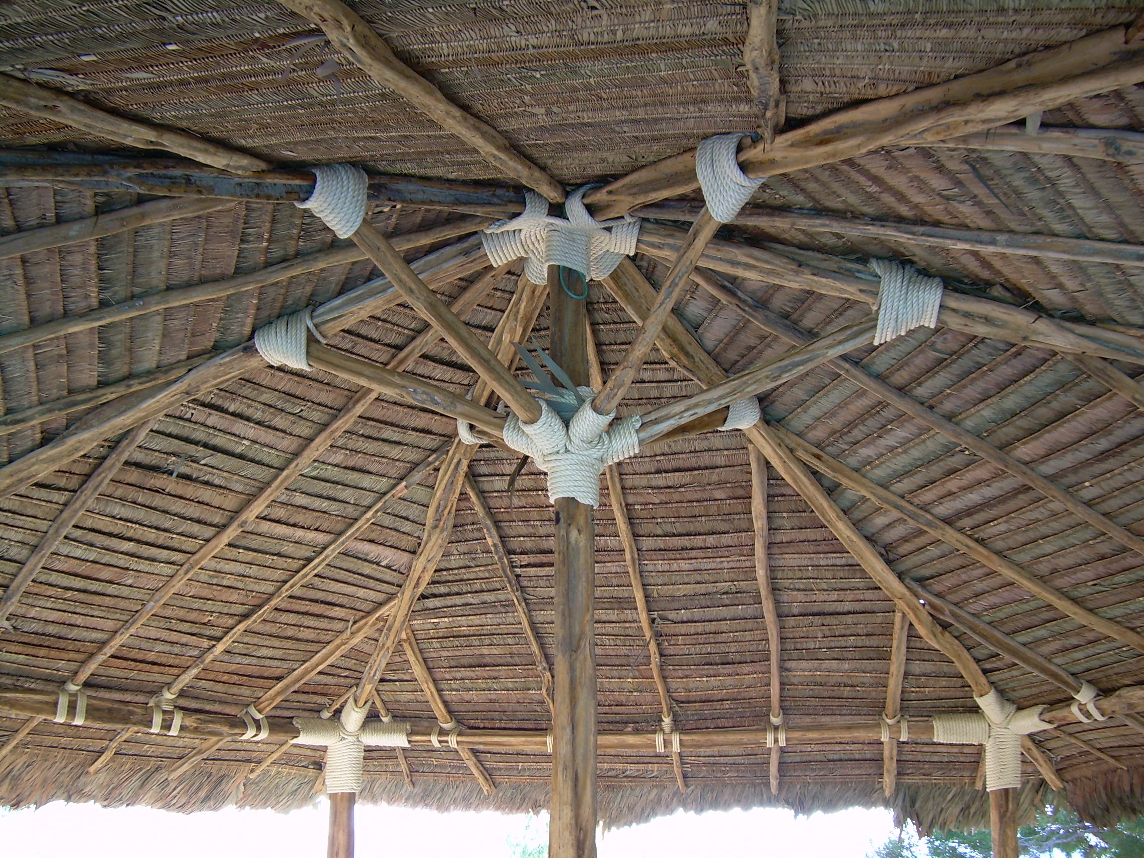 SABINAS BRASILEÑAS